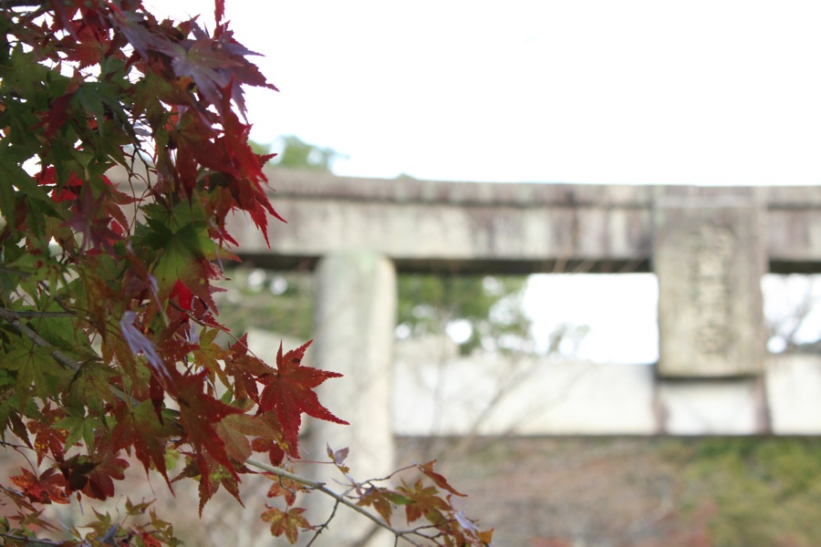 到了神社入口，開始參觀紅葉