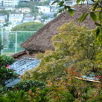 心田庵的茅草屋頂非常有趣。
